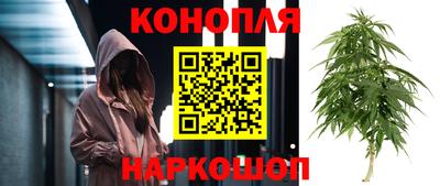 дмт Нарткала