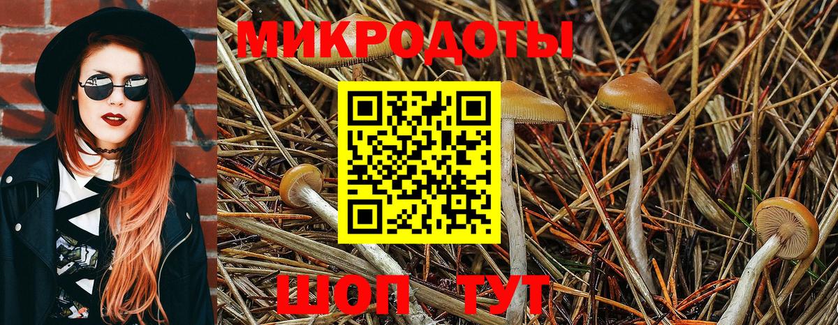 что такое   Вход с VPN  Сосновоборск  Псилоцибиновые грибы прущие грибы 